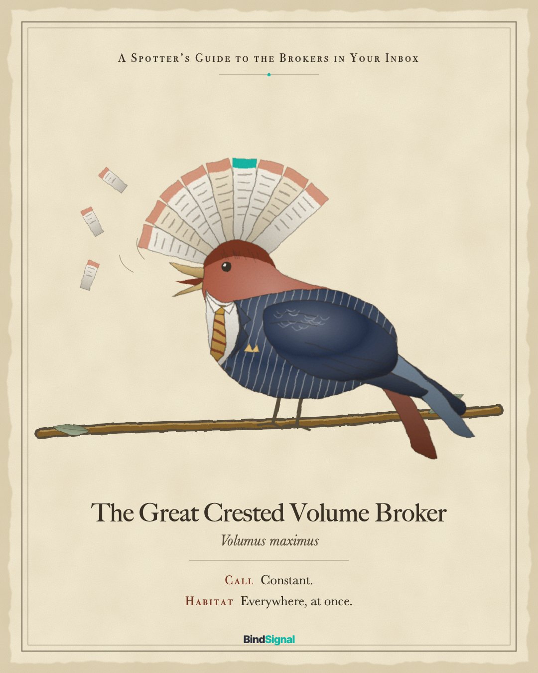 Field guide illustration: the Great Crested Volume Broker, a large showy bird in a navy chalk-stripe suit whose crest is a fan of submission slips, beak wide open